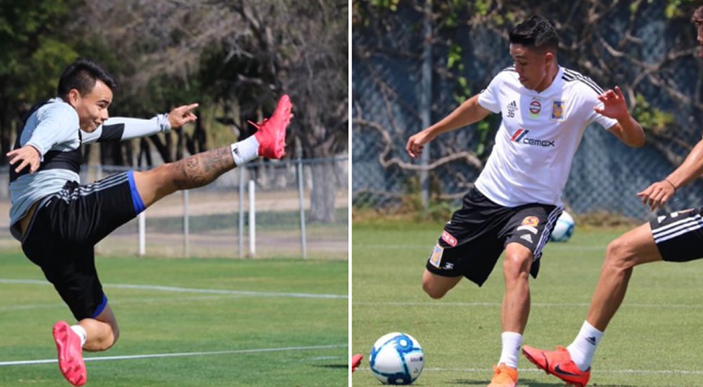 Zelarayán y Tercero quedaron descartados. (@TigresOficial)