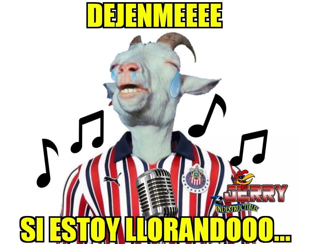 Los acompañamos en la desgracia (y en las burlas), queridos Chivahermanos. Aquí los memes.