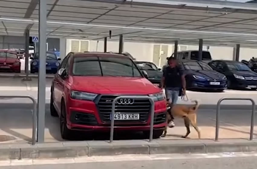 El auto de Suárez siendo olfateado por los perros antiexplosivos.