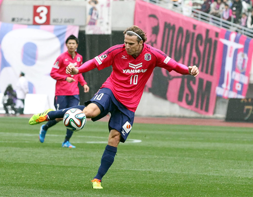 Cerezo de Osaka, 2013 - 2014. (D10)