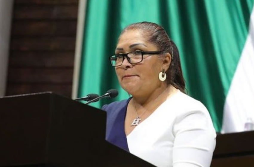 Luego de dar a conocer su iniciativa, la diputada se hizo viral en las redes.
