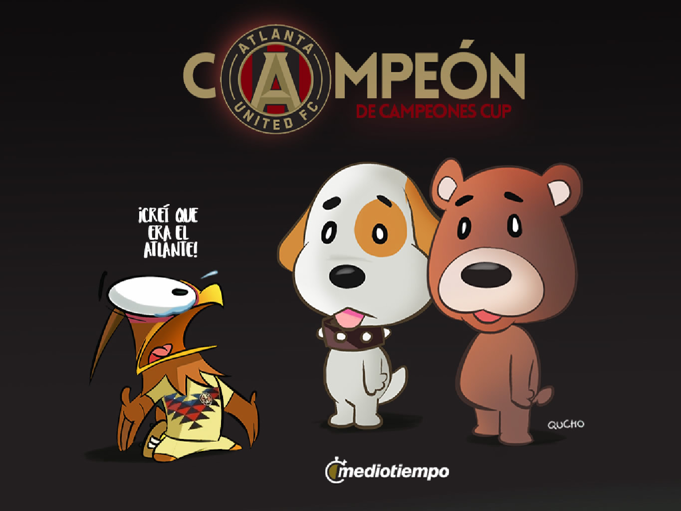 El perro oso del Ame