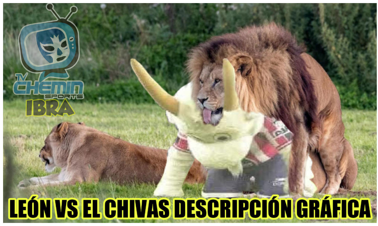 ¿Por qué nos abandonas, VAR? La pregunta que los Chivahermanos se  hacen y los memes responden.