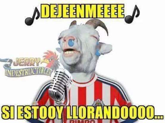 ¿Por qué nos abandonas, VAR? La pregunta que los Chivahermanos se  hacen y los memes responden.