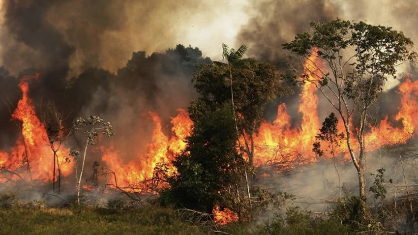 Bolivar será el primer equipo en aportar económicamente a acabar con la situación en el Amazonas (FOTO: Twitter)