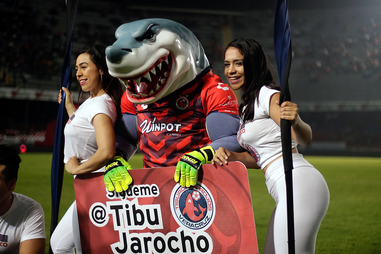 Tibu, el más galán de Veracruz.