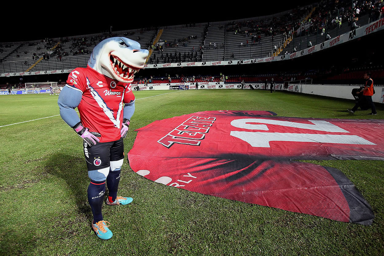 Tibu, el escualo más ganador de Veracruz y la Liga MX.