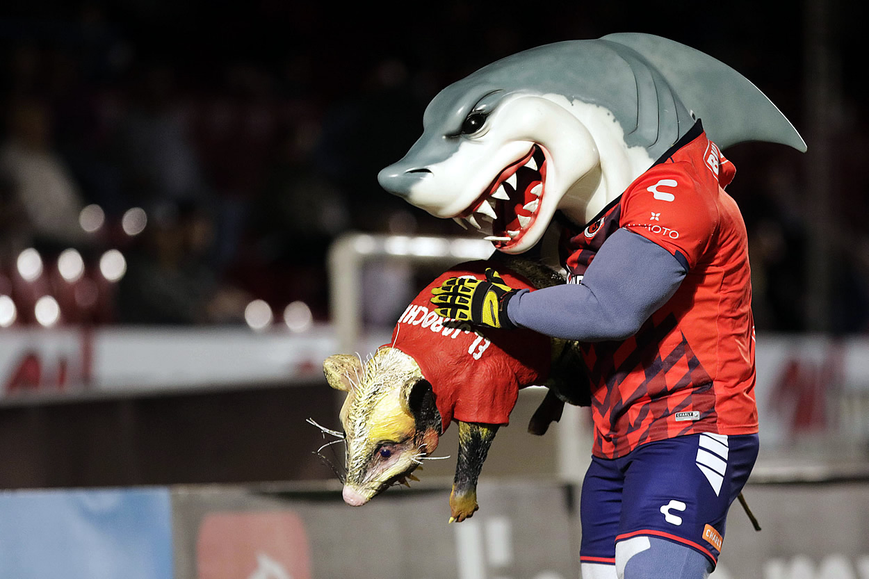 Tibu y Jarochito, los más queridos del Luis Pirata Fuente.