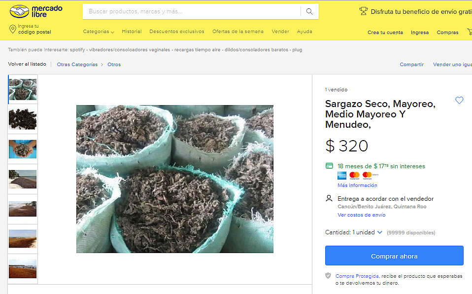 Venden kilos de sargazo a través de Mercado Libre