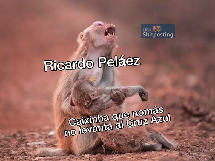 ¡No acepten imitaciones! El único y original autor de las Cruzazuleadas estuvo en Tijuana.