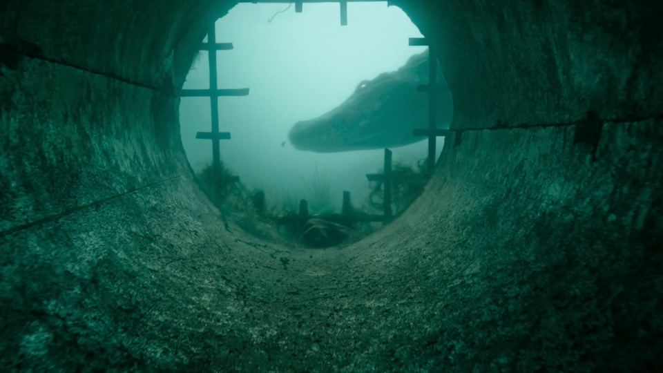 Infierno bajo el agua (Crawl). Una inundación en Florida hace emerger el horror en forma de voraces cocodrilos. Tensión absoluta. En cartelera