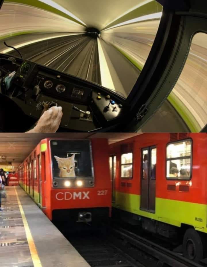 Los mejores memes creados para el metro.
