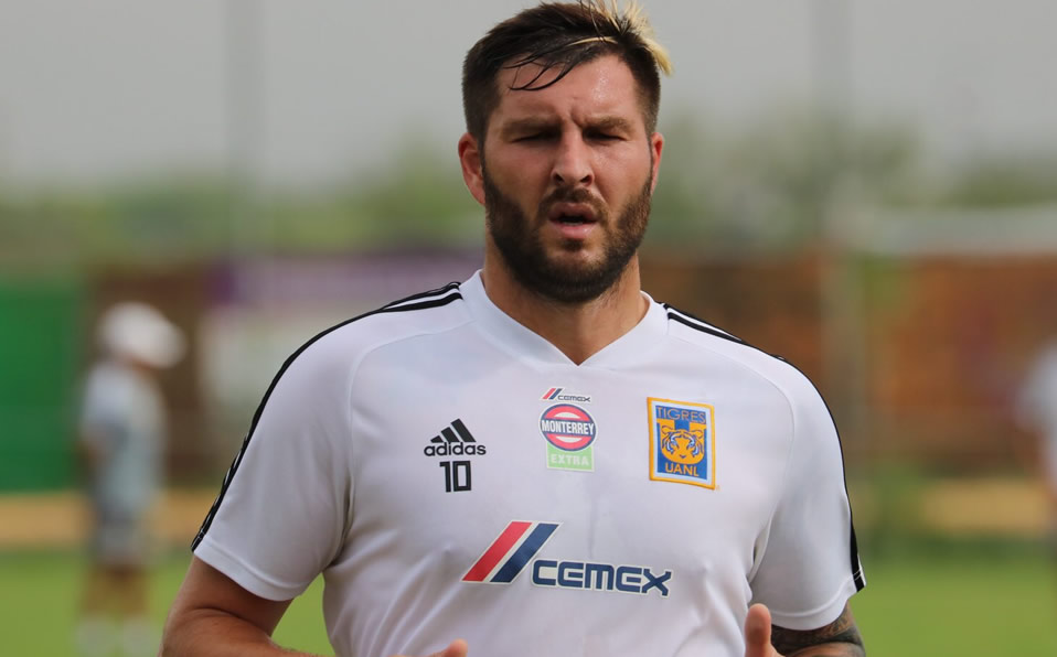 En parón por Fecha FIFA,  crece 'hospital' felino. (tigres)