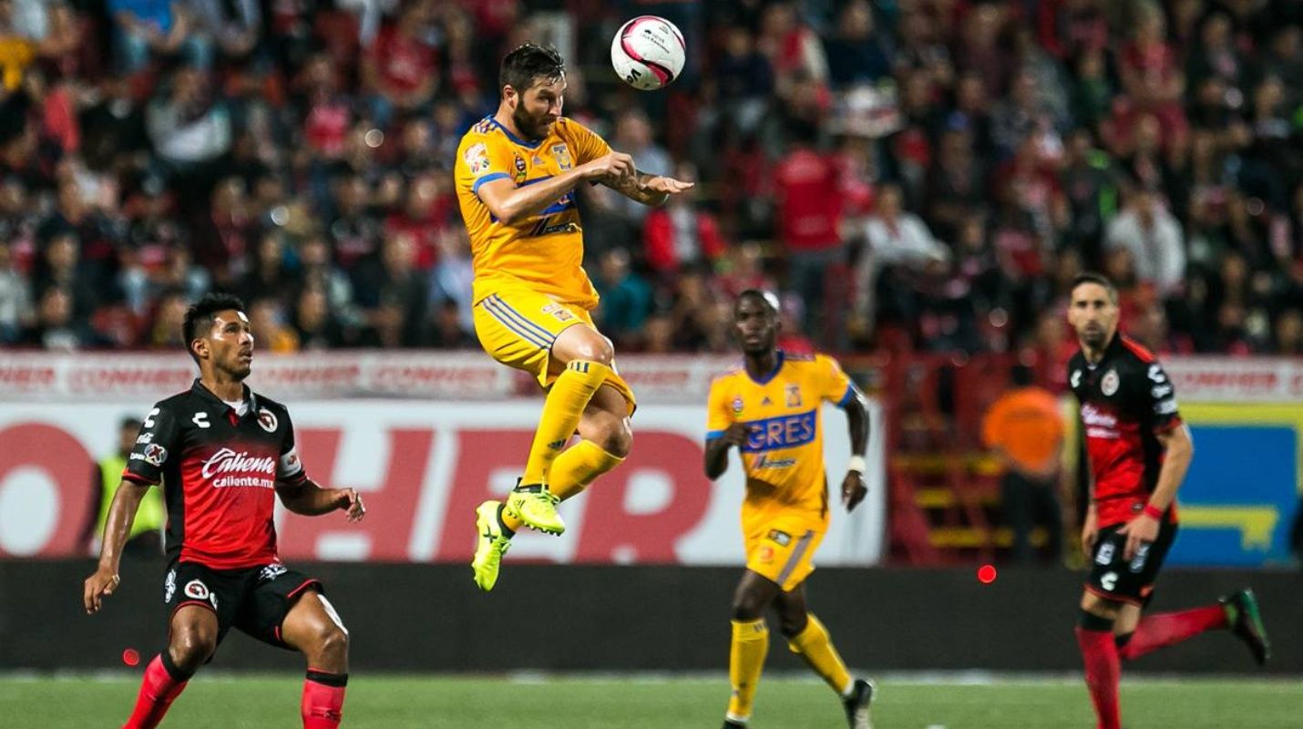 Tigres tiene en André-Pierre Gignac su pieza fuerte en la delantera. (Foto: Web)
