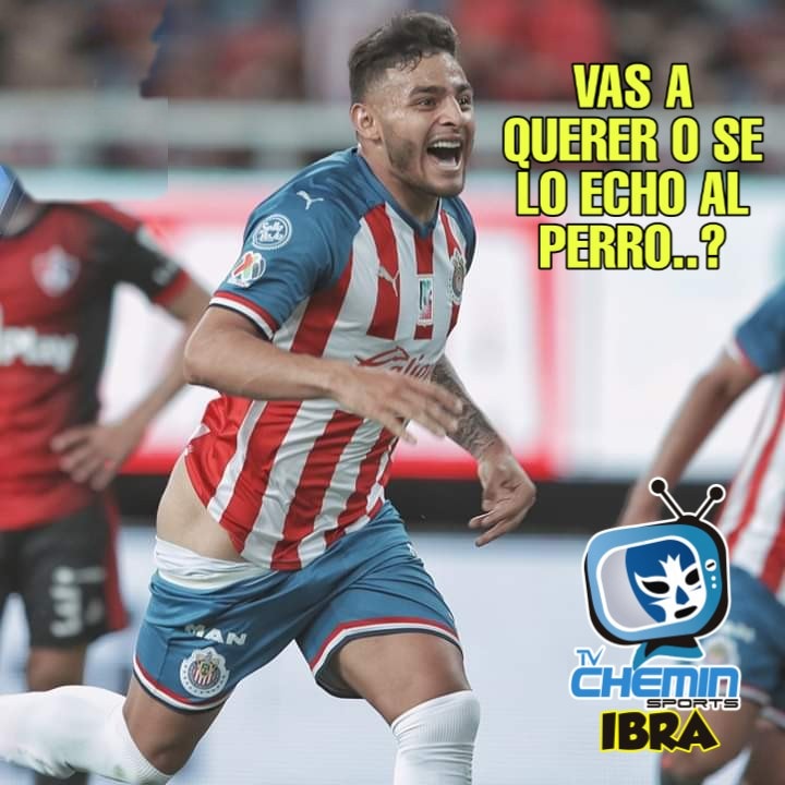 Memes de todo tipo para Alexis Vega y sus "petacas".