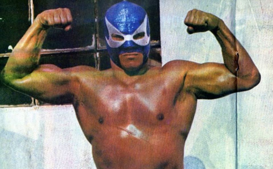 Lizmark (1949-2015)