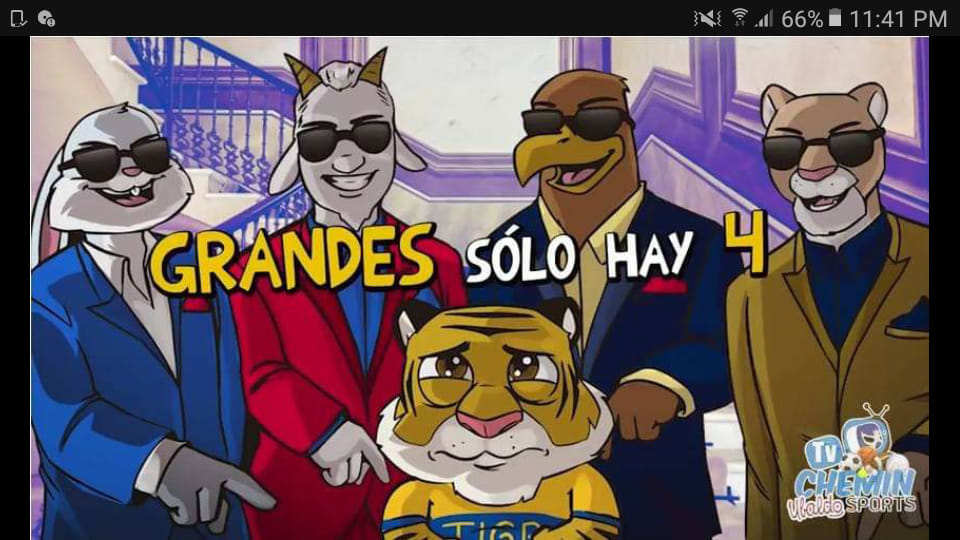 Los memes no perdonaron ni a Campeón ni a subcampeón.