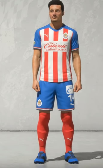 POLLO BRISEÑO