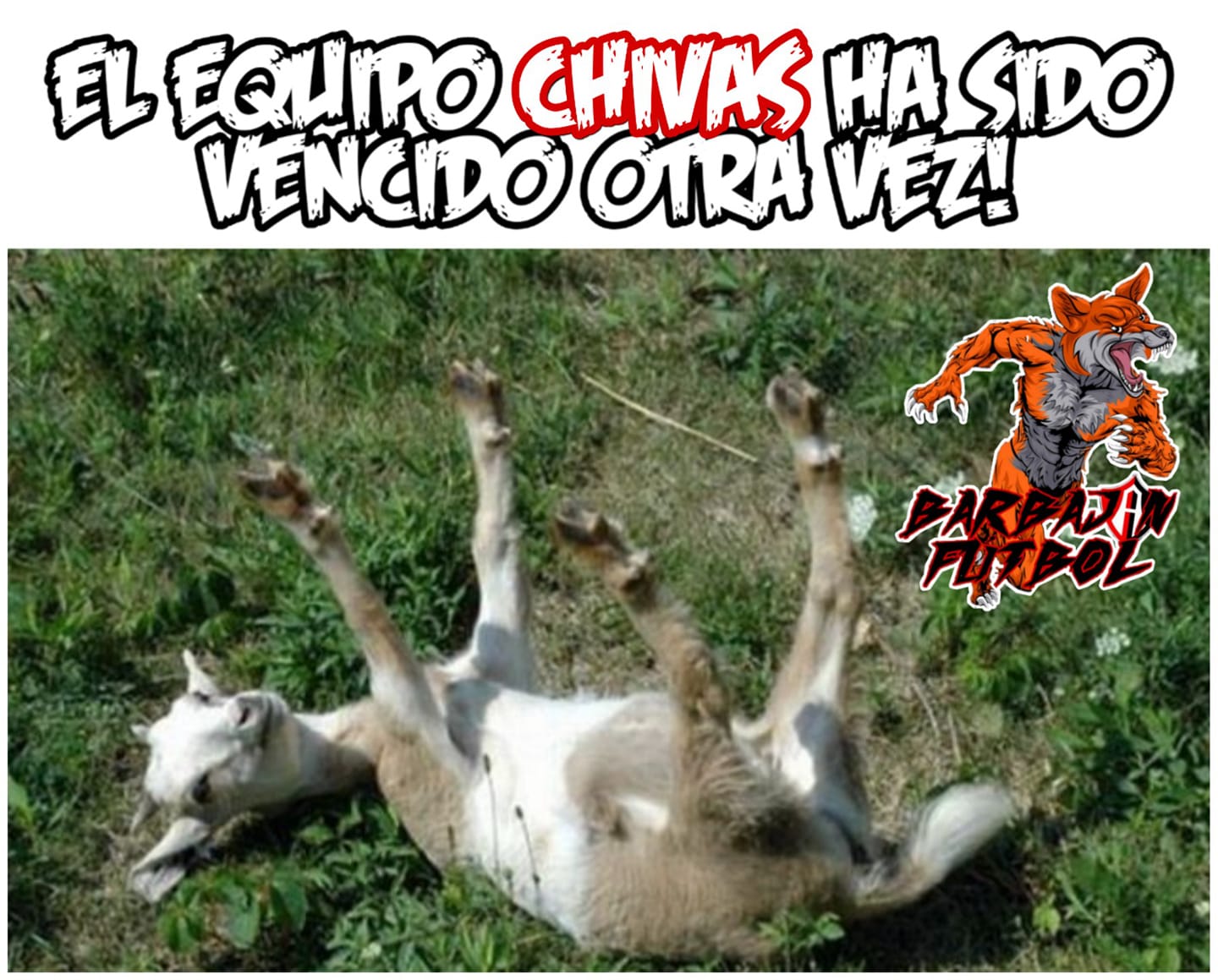 ChiBas con B de "Boy al descenso".