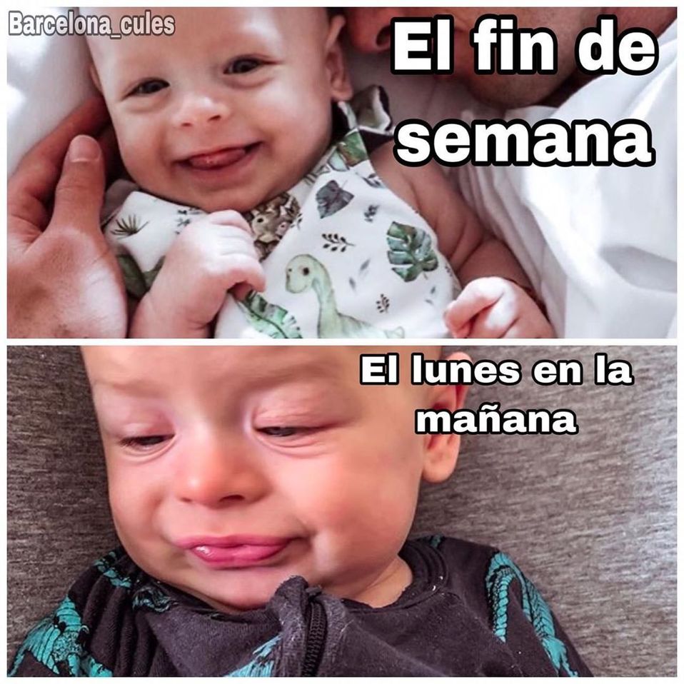 Eso del lunes le pega a cualquiera, hasta a Noah.