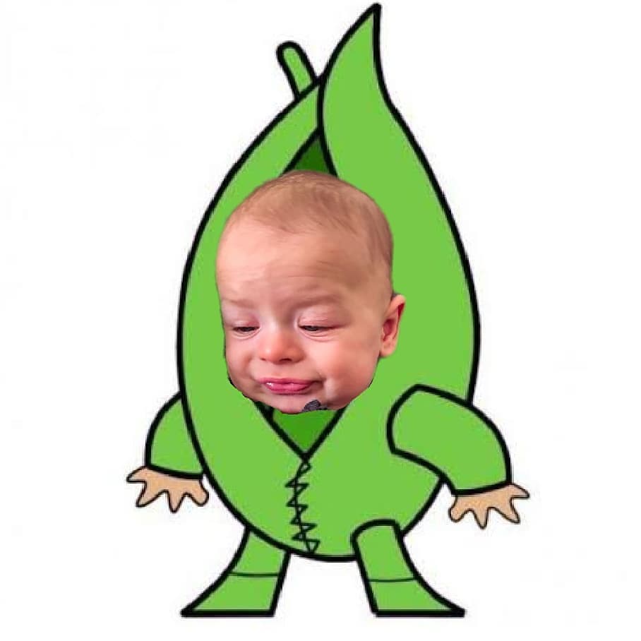 Descripción gráfica del Chicharititito.