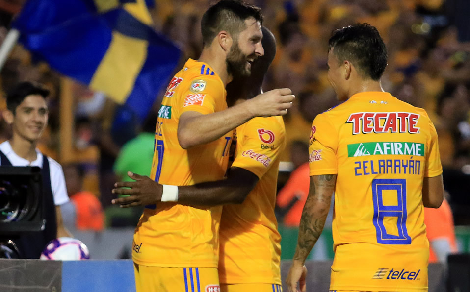 Tigres (Imago7)
