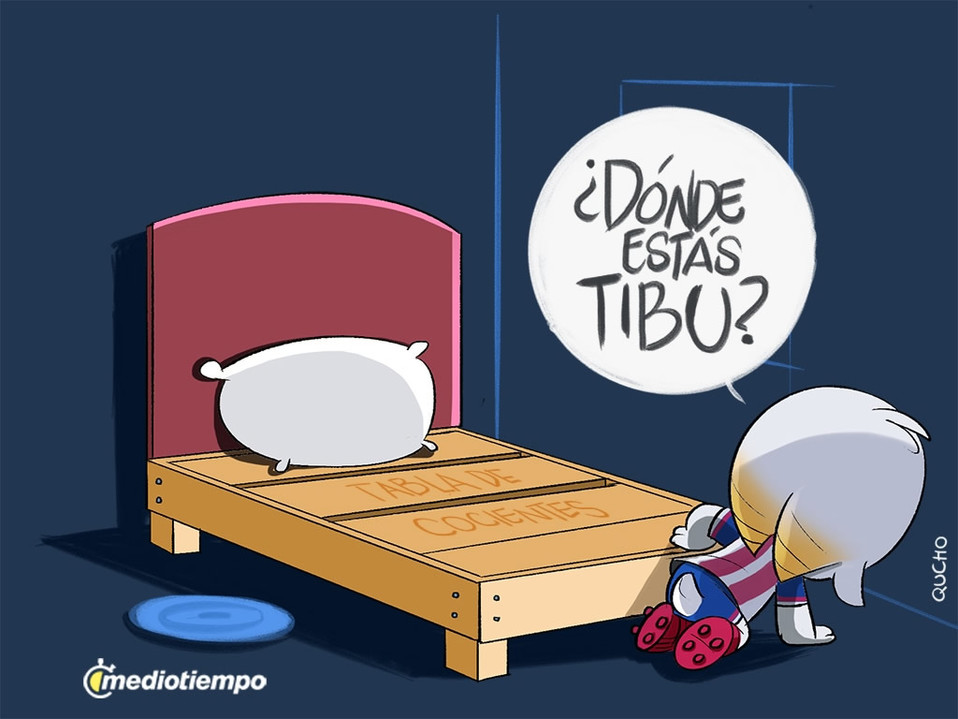 ¿Dónde estás Tibu?