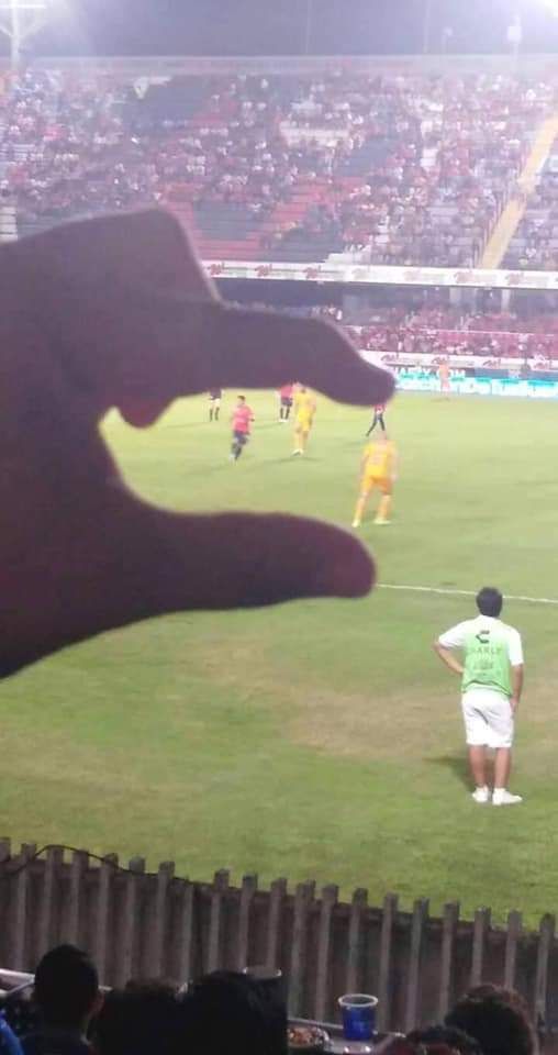 Los mejores memes que generó el juego Veracruz contra Tigres.
