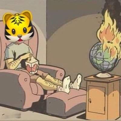 Los mejores memes que generó el juego Veracruz contra Tigres.