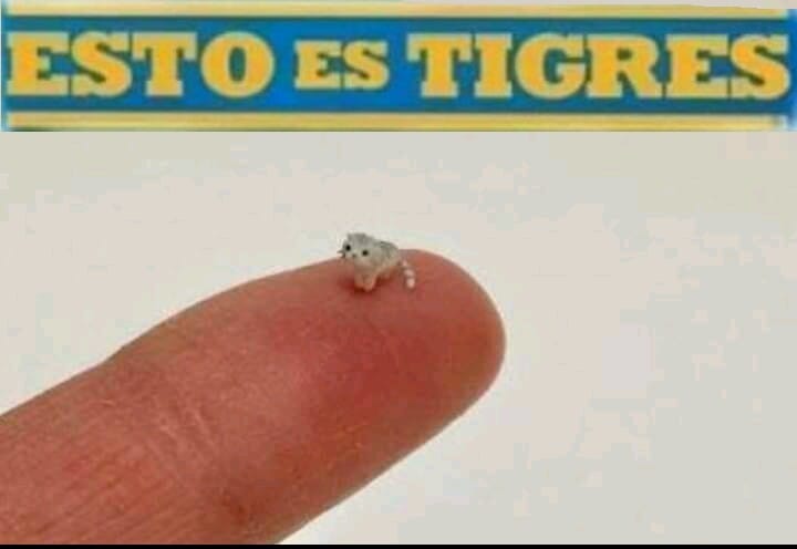 Los mejores memes que generó el juego Veracruz contra Tigres.
