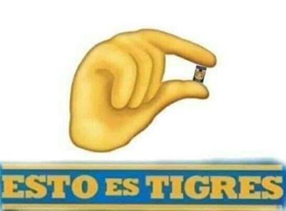 Los mejores memes que generó el juego Veracruz contra Tigres.