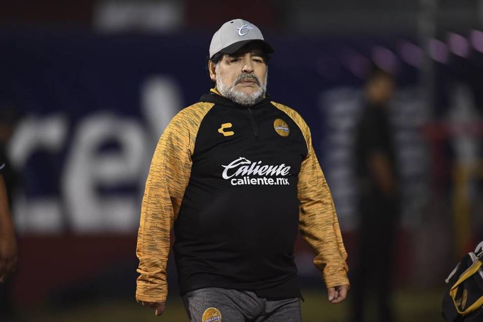 DT | Dorados | 2018-19