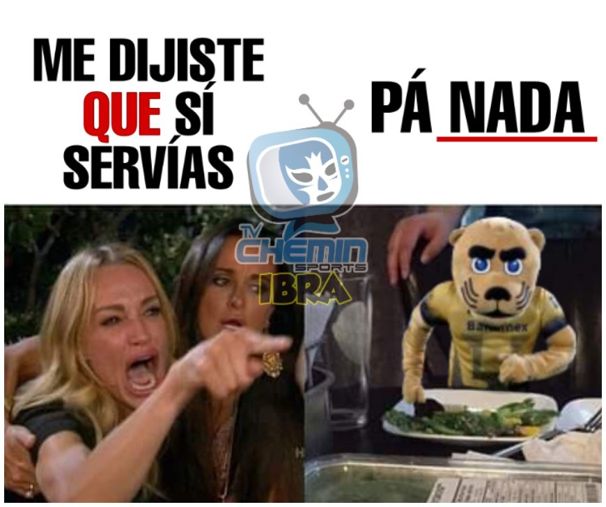 ¡Saquen las bolas de estambre! Que los Pumitas son unas ternuritas inofensivas.