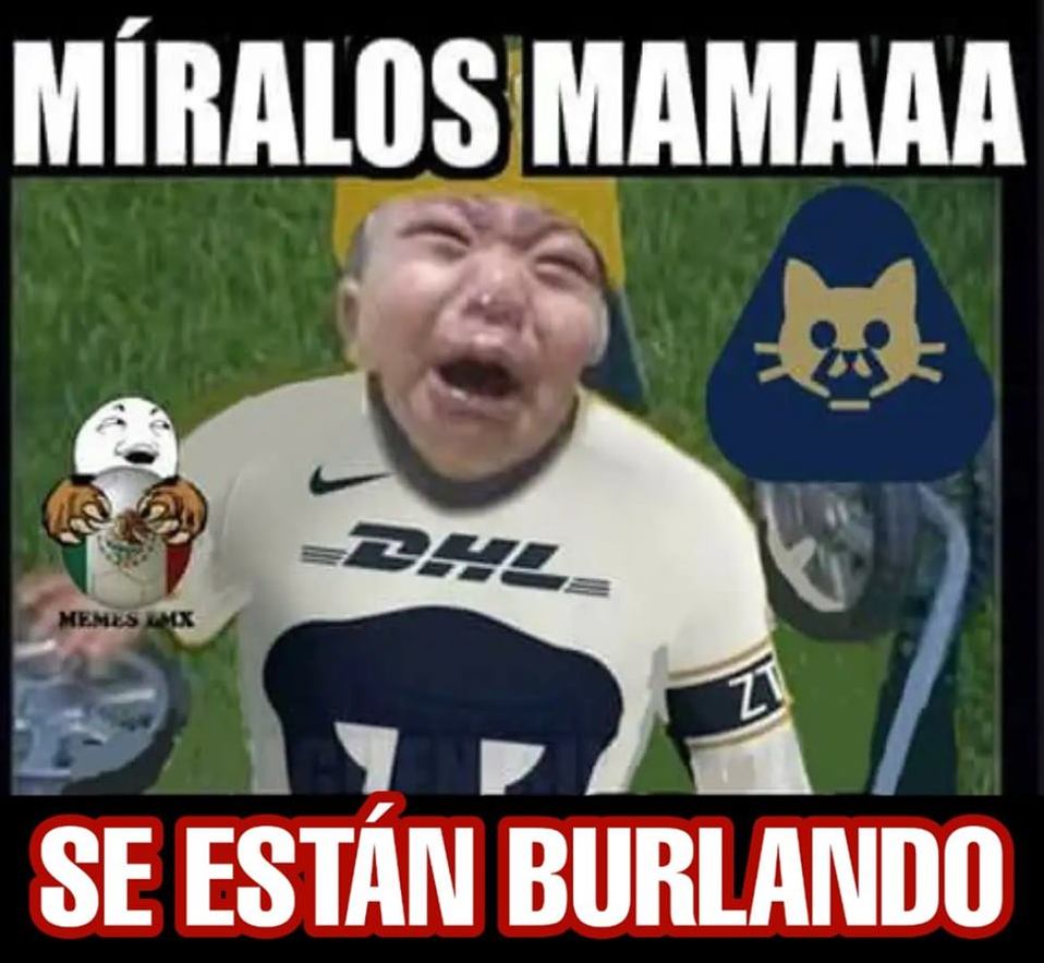 ¡Saquen las bolas de estambre! Que los Pumitas son unas ternuritas inofensivas.