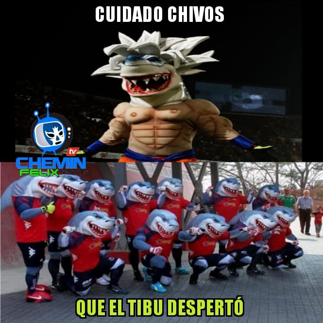 ¡Ni los memes se la creen! Los mejores de la victoria histórica del Veracruz en Liga MX.