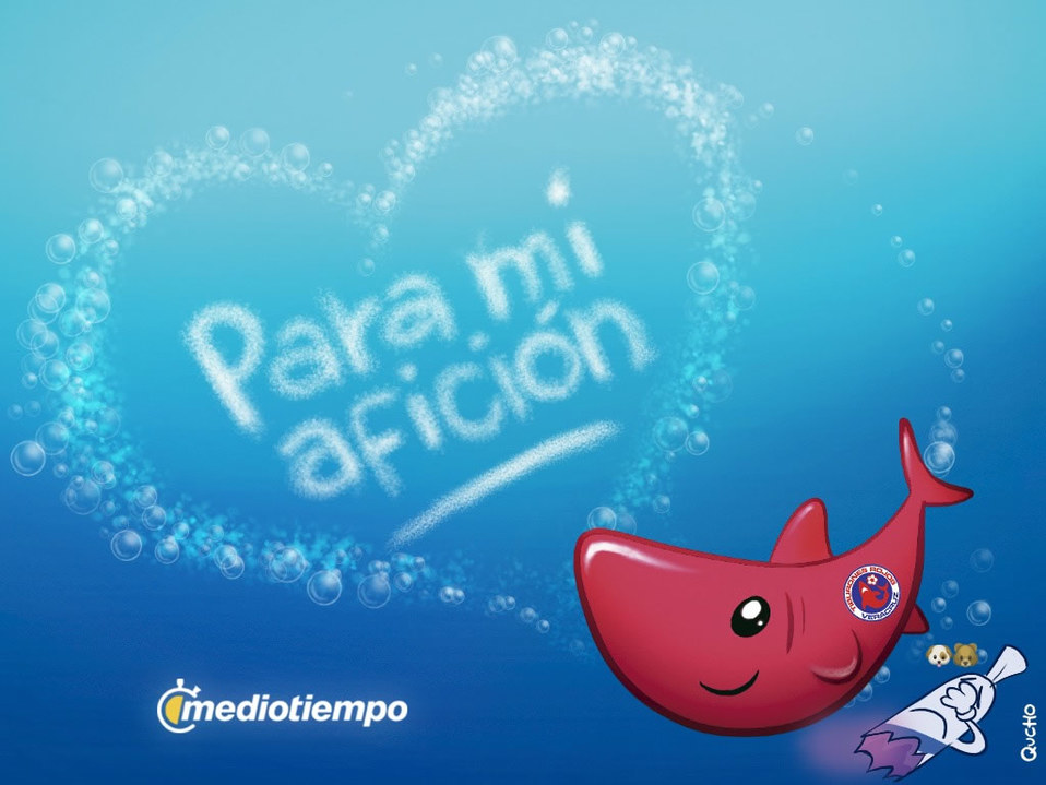 Dedicatoria especial