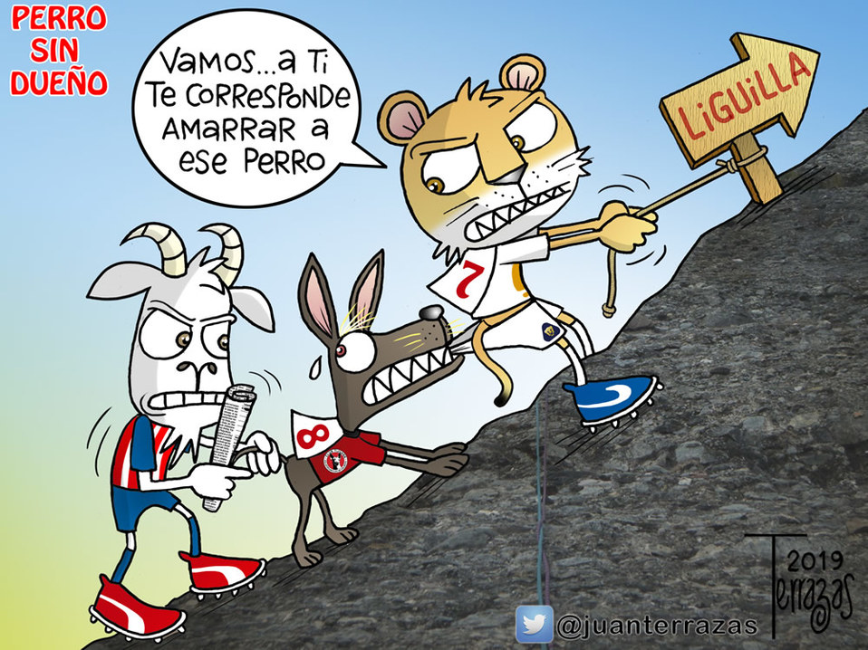 Xolos se puede meter a la Fiesta