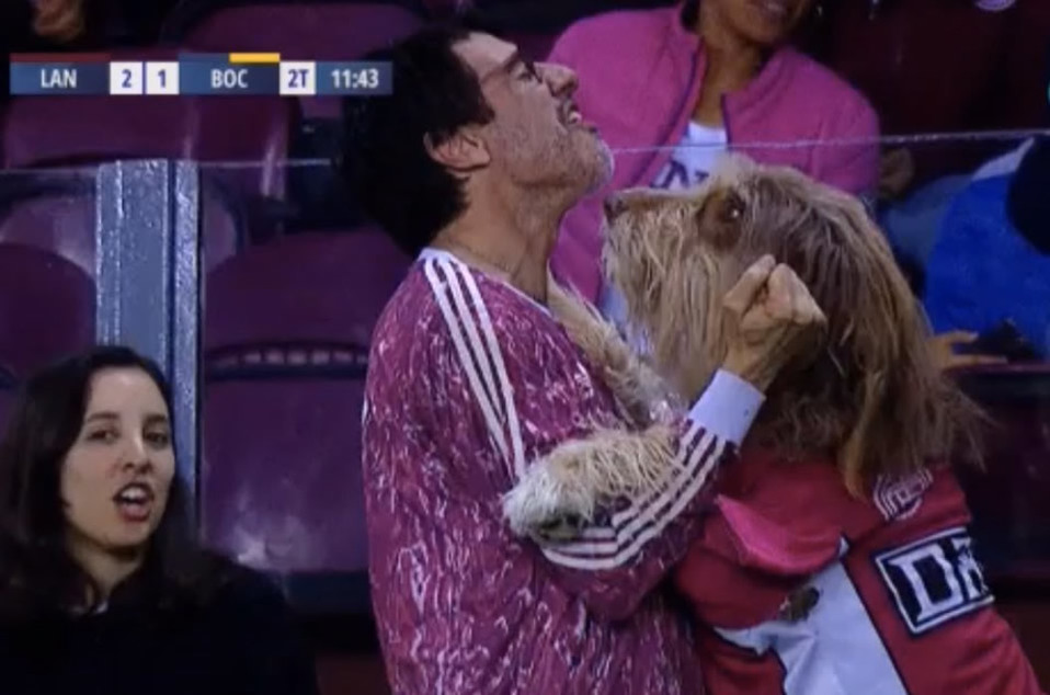 El perrito se hizo viral este jueves al celebrar eufóricamente con su dueño en segundo gol del Granate a Boca Juniors
