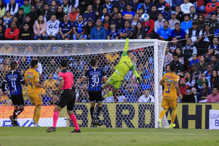FOTOS : Querétaro 0-0 Tigres, Jornada 17, Apertura 2019, GALERÍA
