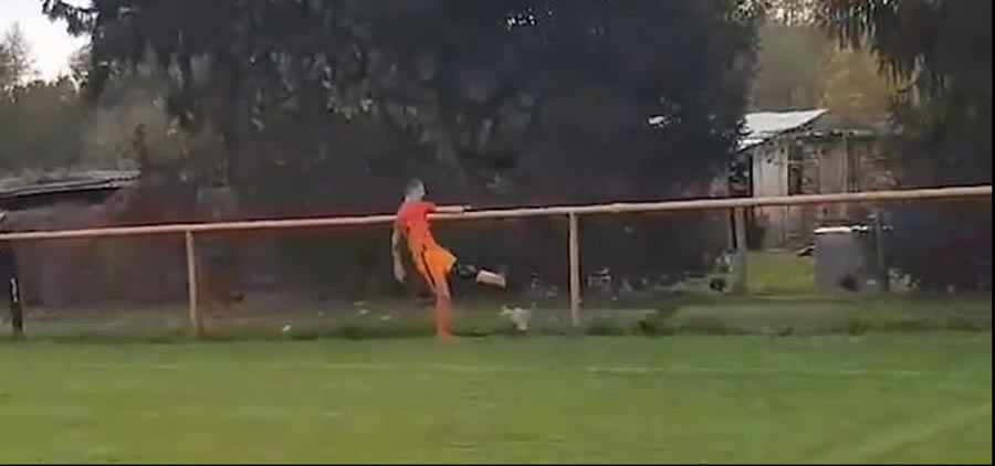Ivan Gazdek, de 23 años, al momento de agredir a la gallina.