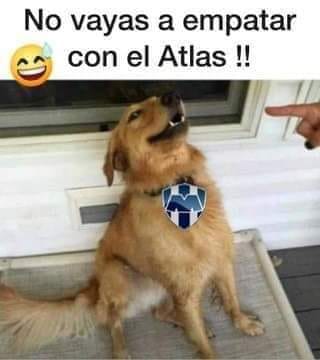 Rayados, tienes solamente un trabajo, no la vayas a regar.
