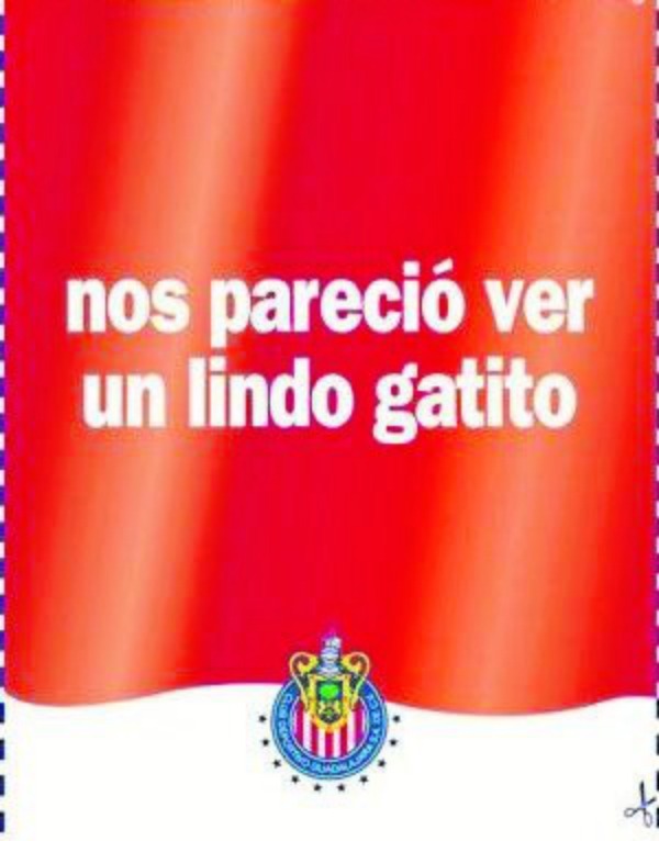El desplegado que revolucionó todo y volvió a Vergara un personaje odiado en CU.