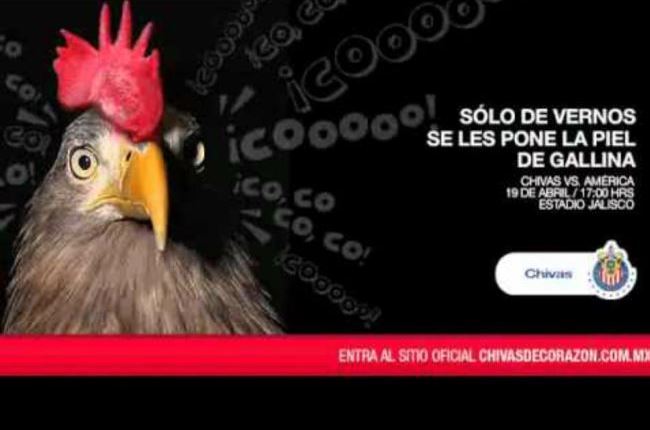 Una gallina con pico de águila claramente dirigida a...