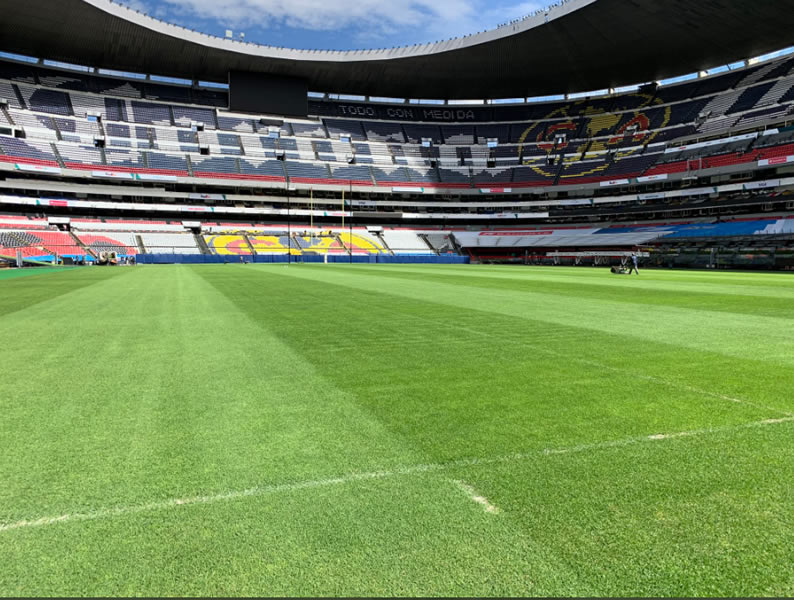 La cancha mostró una mejoría notable, ya que se regresó al pasto natural, luego de que habían intentado con el césped híbrido. FOTO: @LaurettiLuis