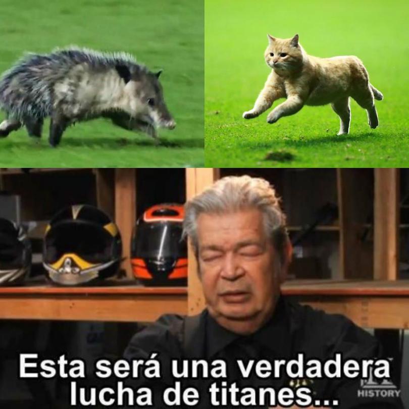 Nadie sonrió con el juego de México, pero los memes están para quitarte el mal humor.