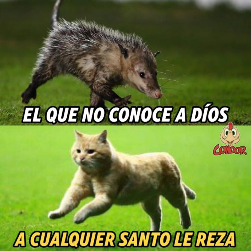 Nadie sonrió con el juego de México, pero los memes están para quitarte el mal humor.