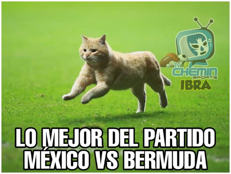 México-Bermudas: Memes sienten vergüenza del juego del Tri en Toluca