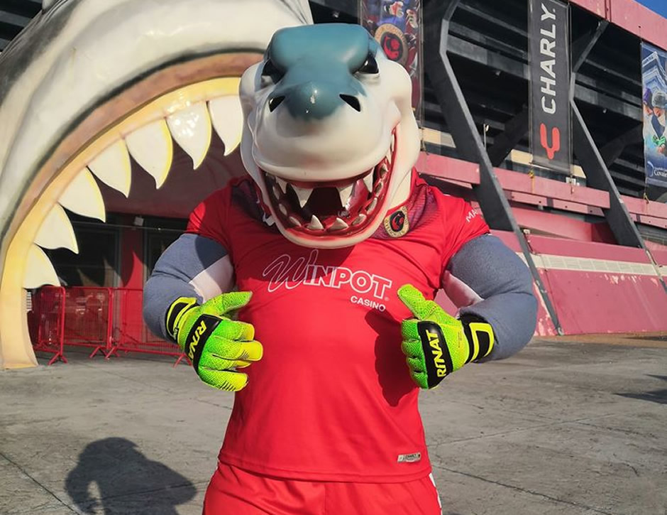 VIDEO: Tibu, la mascota de Veracruz viajó a Toluca para juego del Tri - Medio Tiempo.com