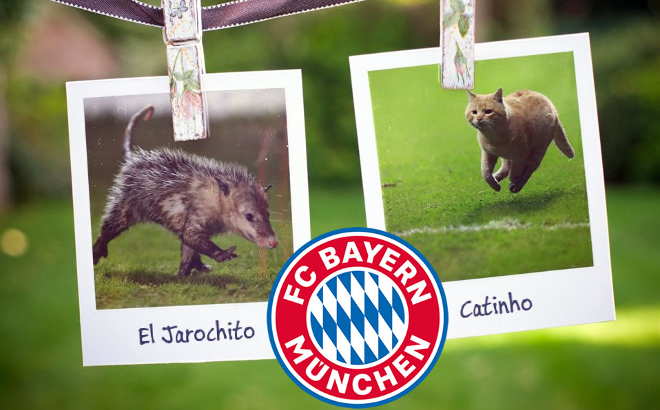 En México lo conocimos como Choricito, pero el Bayern le llamó Catinho. (@FCBayernES)