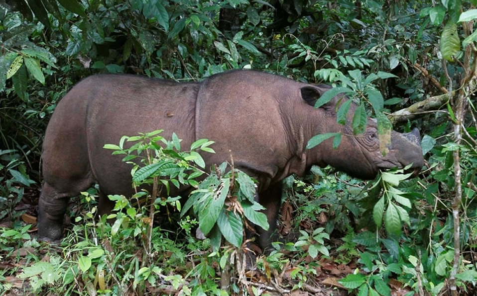 Iman murió de cáncer. (Foto: Reuters)